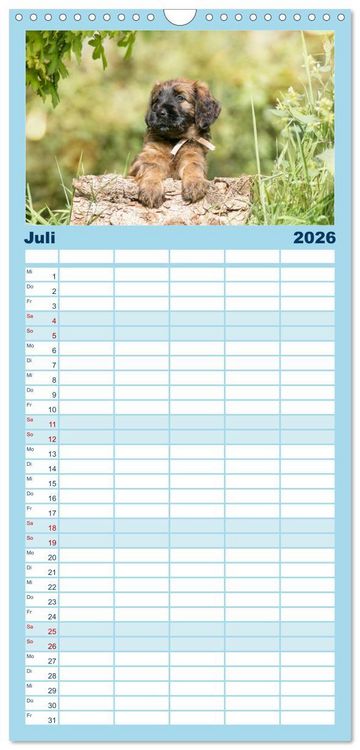 Produktbild: Familienplaner 2026 - Briardbabys in ihren ersten Wochen mit 5 Spalten (Wandkalender, 21 x 45 cm) CALVENDO