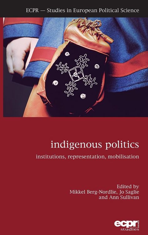 Produktbild: Indigenous Politics
