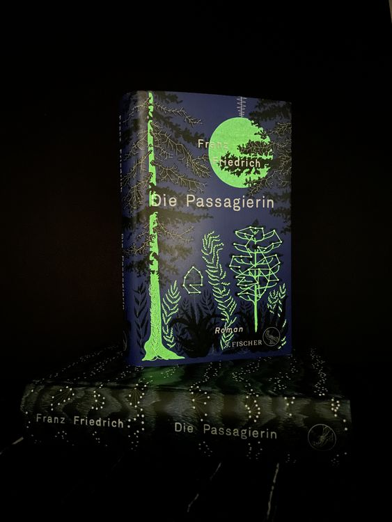Produktbild: Die Passagierin