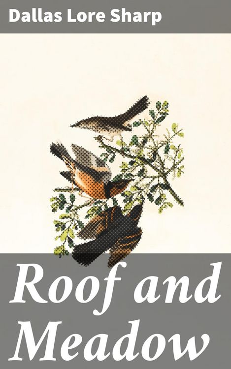 Produktbild: Roof and Meadow