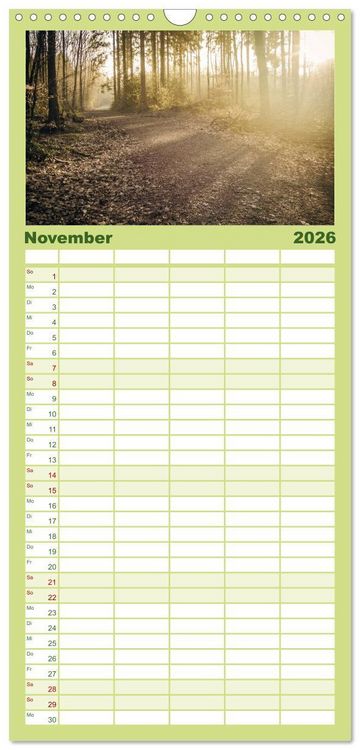 Produktbild: Familienplaner 2026 - Wege des einfachen Gl&uuml;cks - Spazierg&auml;nge im Wald mit 5 Spalten (Wandkalender, 21 x 45 cm) CALVENDO