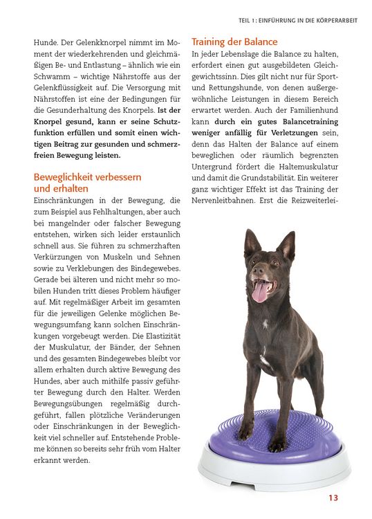 Produktbild: Körperarbeit mit dem Hund