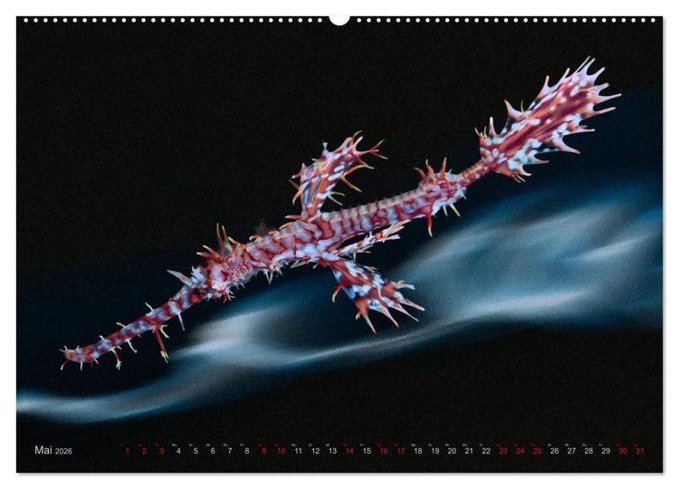 Produktbild: Artwork Unterwasser - Erlebnis Tauchen (hochwertiger Premium Wandkalender 2026 DIN A2 quer), Kunstdruck in Hochglanz