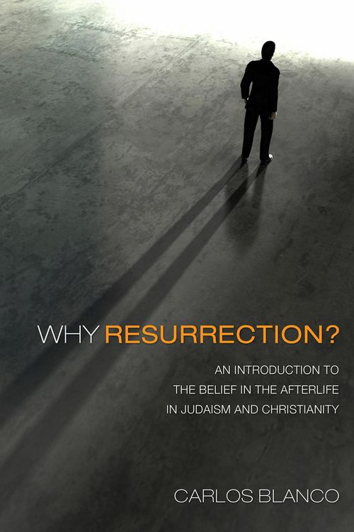 Produktbild: Why Resurrection?