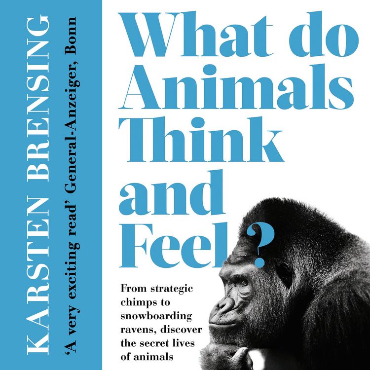 Produktbild: What Do Animals Think and Feel?