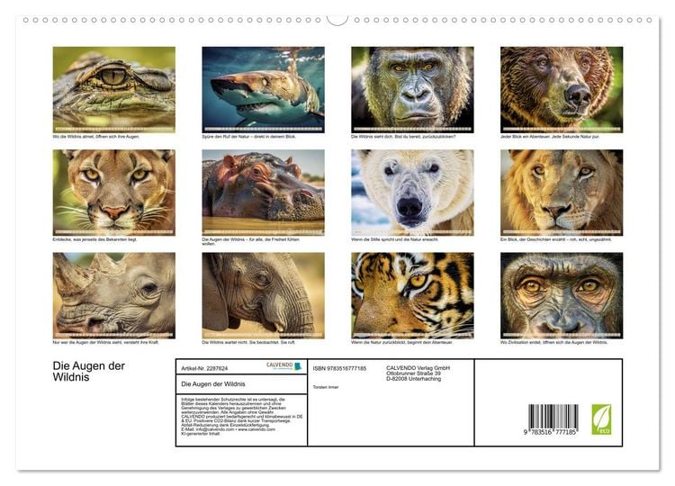 Produktbild: Die Augen der Wildnis (hochwertiger Premium Wandkalender 2027 DIN A2 quer), Kunstdruck in Hochglanz
