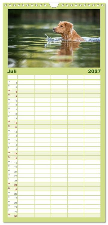 Produktbild: Familienplaner 2027 - Toller - Nova Scotia Duck Tolling Retriever mit 5 Spalten (Wandkalender, 21 x 45 cm) CALVENDO