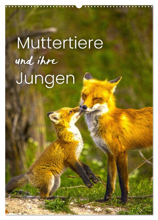 Produktbild: Muttertiere und ihre Jungen (Wandkalender 2026 DIN A2 hoch), CALVENDO Monatskalender