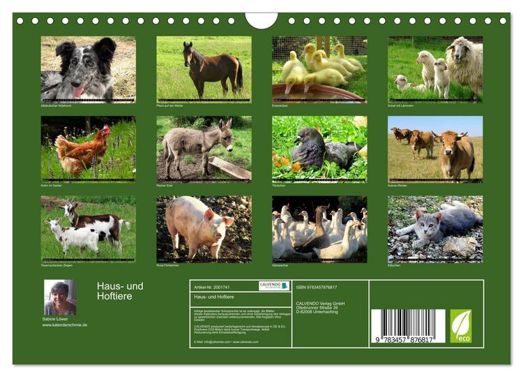 Produktbild: Haus- und Hoftiere (Wandkalender 2026 DIN A4 quer), CALVENDO Monatskalender