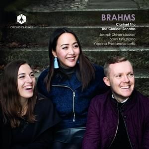 Produktbild: BRAHMS: Clarinet Trio/Sonatas