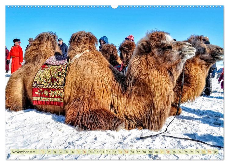 Produktbild: Reise durch Asien - Mongolei (Wandkalender 2026 DIN A2 quer), CALVENDO Monatskalender