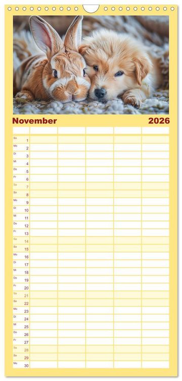 Produktbild: Familienplaner 2026 - Lustige Hasengeschichten mit 5 Spalten (Wandkalender, 21 x 45 cm) CALVENDO