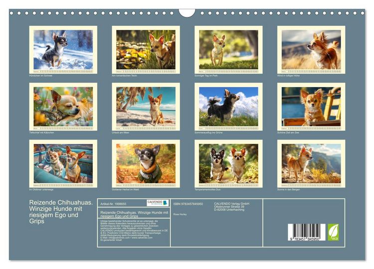 Produktbild: Reizende Chihuahuas. Winzige Hunde mit riesigem Ego und Grips (Wandkalender 2026 DIN A3 quer), CALVENDO Monatskalender