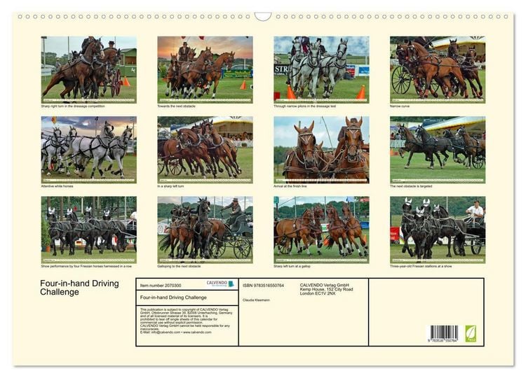 Produktbild: Four-in-hand Driving Challenge (Wall Calendar 2026 DIN A2 landscape), CALVENDO 12 Month Wall Calendar