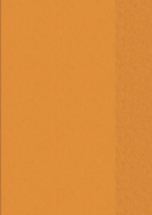 Produktbild: Brunnen Hefth&uuml;lle A4 tr orange Folie