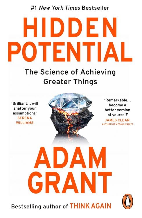 Produktbild: Hidden Potential