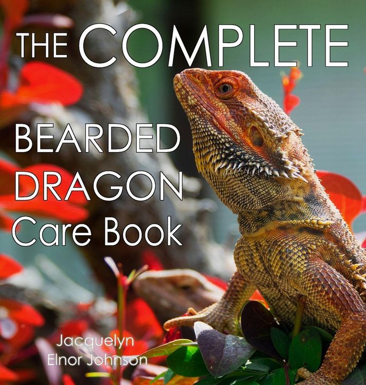 Produktbild: The Complete Bearded Dragon Care Book