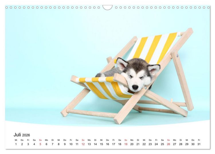 Produktbild: S&uuml;&szlig;e Tr&auml;ume 2026 - schlafende Hundewelpen (Wandkalender 2026 DIN A3 quer), CALVENDO Monatskalender