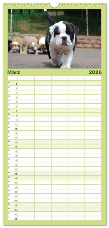 Produktbild: Familienplaner 2026 - Bulldoggen-Kinder mit 5 Spalten (Wandkalender, 21 x 45 cm) CALVENDO