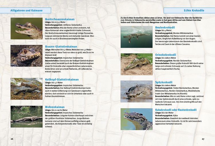 Produktbild: Entdecke die Krokodile