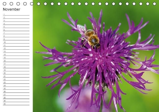 Produktbild: Ich denk an Dich ... Pers&ouml;nlicher Terminkalender (Tischkalender immerw&auml;hrend DIN A5 quer)