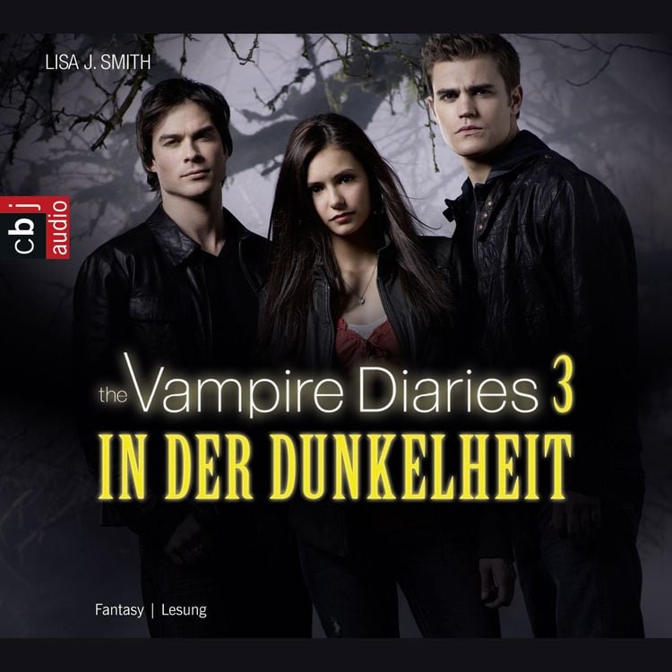 Bild vom Artikel In der Dunkelheit  / The Vampire Diaries Bd. 3 vom Autor Lisa J. Smith
