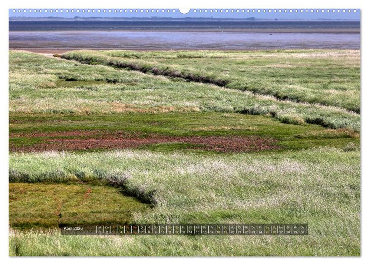 Produktbild: Mand&oslash; - Perle im d&auml;nischen Wattenmeer (Wandkalender 2026 DIN A2 quer), CALVENDO Monatskalender