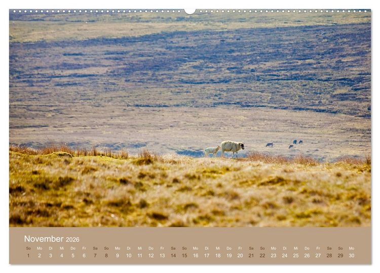 Produktbild: Unter Schafen - Wegbegleiter auf Reisen (Wandkalender 2026 DIN A2 quer), CALVENDO Monatskalender