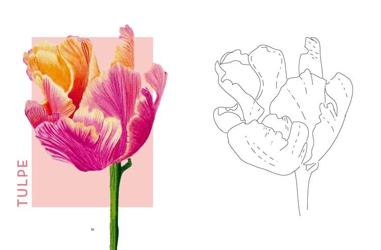 Produktbild: Flowers mit Lana: Ausmalen und entspannen mit Lanaarts23