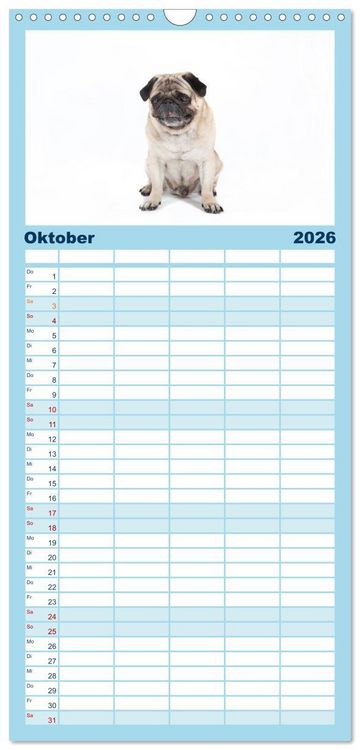 Produktbild: Familienplaner 2026 - Mops - unwiderstehlich und charmant mit 5 Spalten (Wandkalender, 21 x 45 cm) CALVENDO
