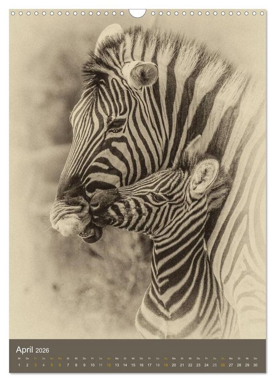 Produktbild: Afrikas Tierwelt - Sepia-Art (Wandkalender 2026 DIN A3 hoch), CALVENDO Monatskalender