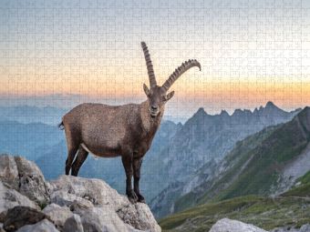 Produktbild: CALVENDO Puzzle Der K&ouml;nig und sein K&ouml;nigreich | 1000 Teile Lege-Gr&ouml;&szlig;e 64x48cm Foto-Puzzle f&uuml;r gl&uuml;ckliche Stunden
