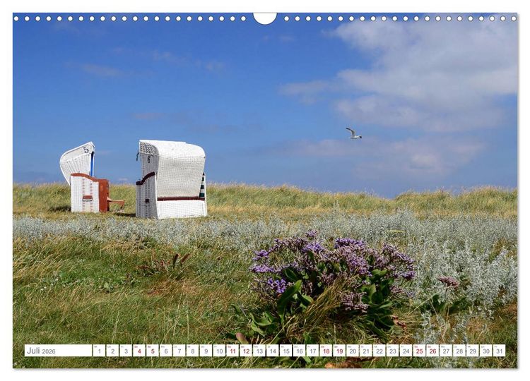 Produktbild: Sommertage auf Hallig Hooge (Wandkalender 2026 DIN A3 quer), CALVENDO Monatskalender