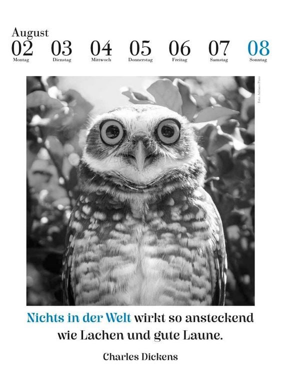 Produktbild: Der literarische Eulenkalender 2027