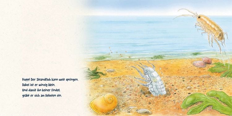 Produktbild: Guck mal tief ins Meer