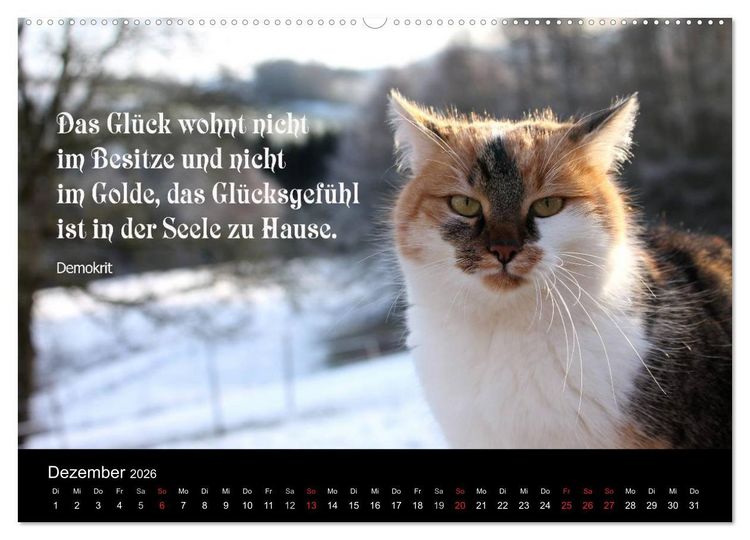 Produktbild: Gl&uuml;ckskatze - Mit Zitaten zum Thema Gl&uuml;ck (Wandkalender 2026 DIN A2 quer), CALVENDO Monatskalender