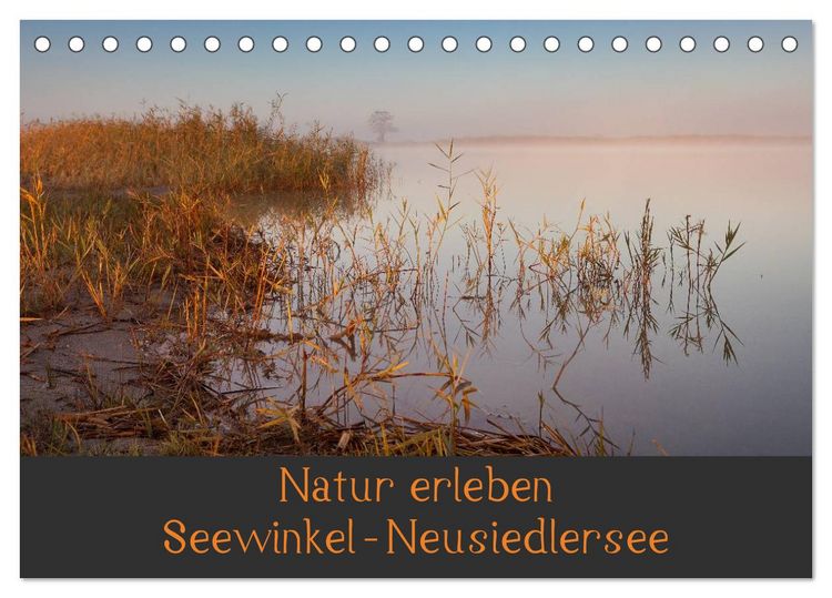 Produktbild: Natur erleben Seewinkel-Neusiedlersee (Tischkalender 2026 DIN A5 quer), CALVENDO Monatskalender