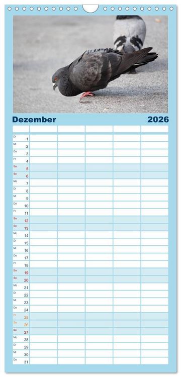 Produktbild: Familienplaner 2026 - Geliebte Tauben mit 5 Spalten (Wandkalender, 21 x 45 cm) CALVENDO