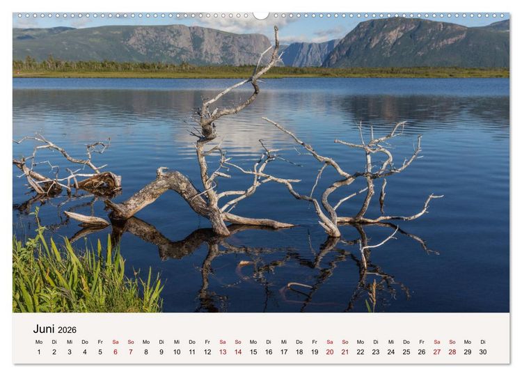 Produktbild: Neufundland Impressionen 2026 (hochwertiger Premium Wandkalender 2026 DIN A2 quer), Kunstdruck in Hochglanz