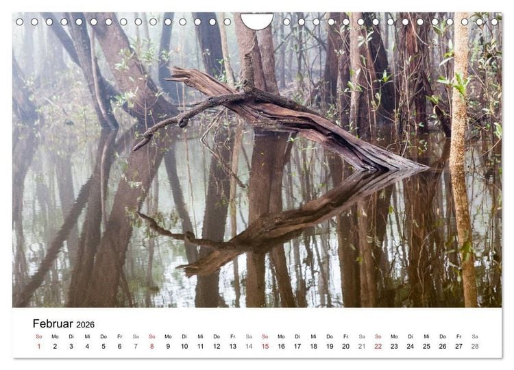 Produktbild: Mythos Amazonas - Naturparadies Brasiliens (Wandkalender 2026 DIN A4 quer), CALVENDO Monatskalender