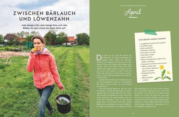 Produktbild: 12 Monate Gem&uuml;se ernten