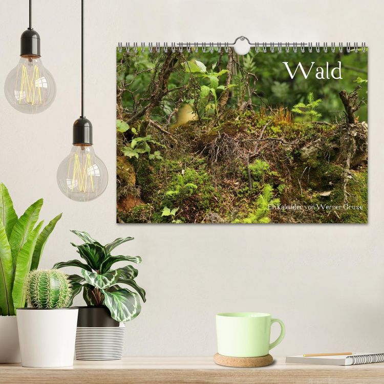 Produktbild: Wald (Wandkalender 2026 DIN A4 quer), CALVENDO Monatskalender