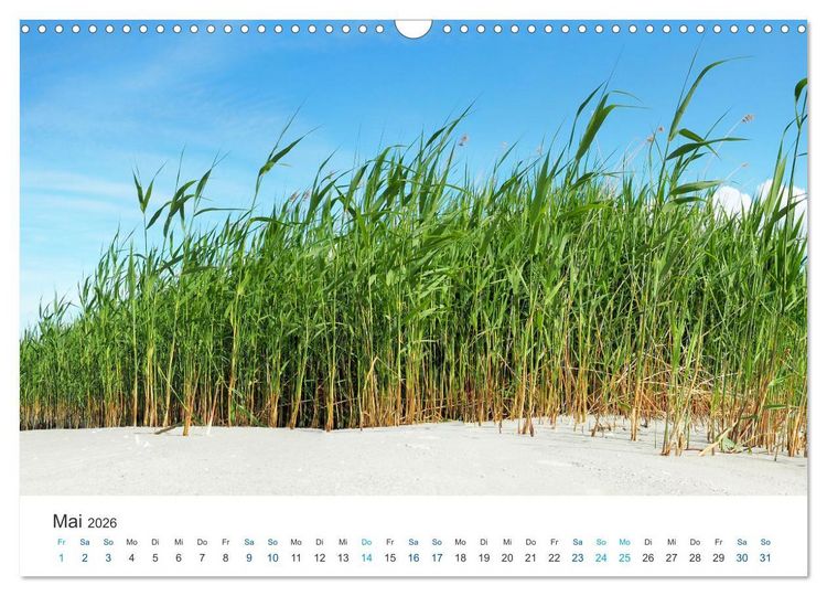 Produktbild: Deutsche K&uuml;ste - Nordsee und Ostsee (Wandkalender 2026 DIN A3 quer), CALVENDO Monatskalender