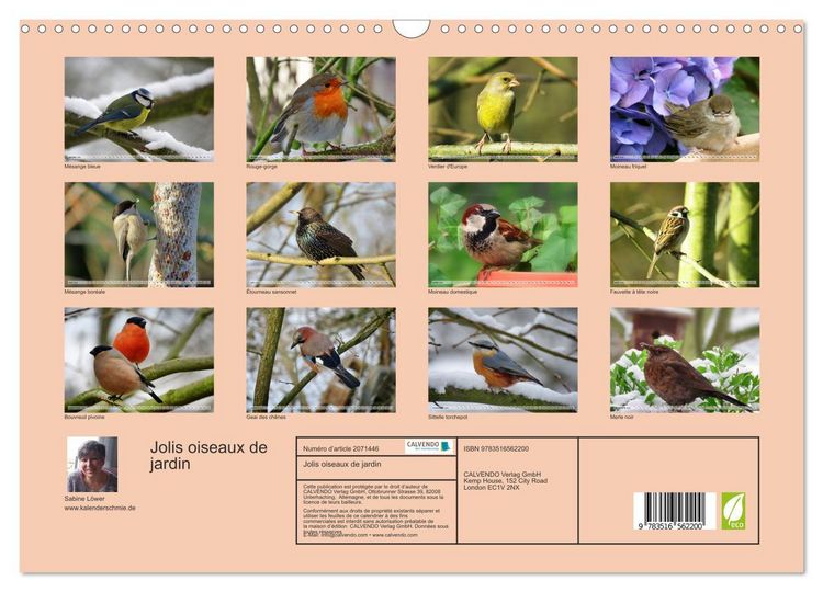 Produktbild: Jolis oiseaux de jardin (Calendrier mural 2026 DIN A3 vertical), CALVENDO calendrier mensuel