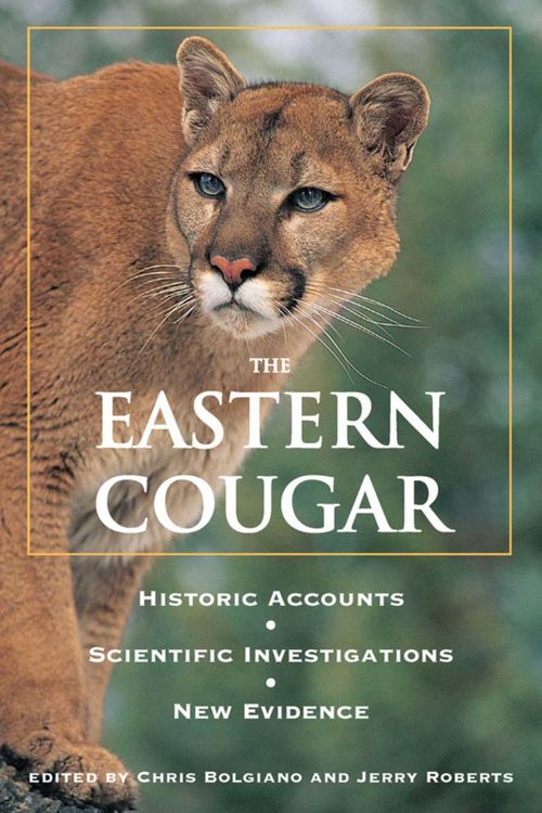 Produktbild: Eastern Cougar