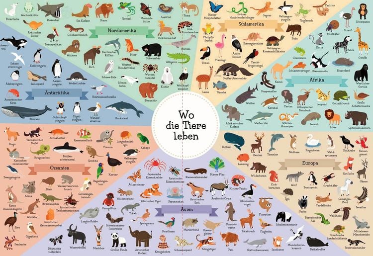 Produktbild: Zeichne deinen eigenen Tieratlas! &Uuml;ber 170 Tiere von 7 Kontinenten. Ganz einfach Schritt f&uuml;r Schritt. F&uuml;r Kinder ab 6 Jahren