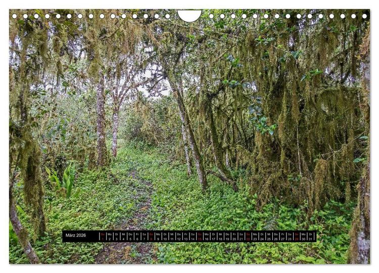 Produktbild: Galapagos- Landschaften (Wandkalender 2026 DIN A4 quer), CALVENDO Monatskalender