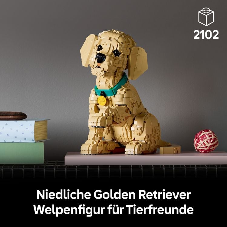 Produktbild: LEGO Icons 11384 Golden Retriever Welpe, Modellbau mit Hundefigur