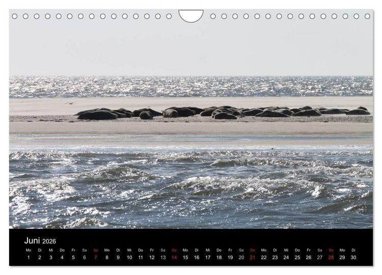Produktbild: Sylt 2026 (Wandkalender 2026 DIN A4 quer), CALVENDO Monatskalender