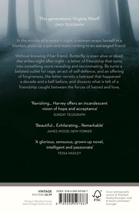 Produktbild: Dear Thief
